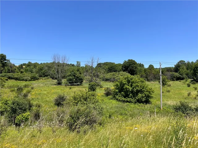 $35,000 | 0 Yocum Road, Wayland, NY 14572