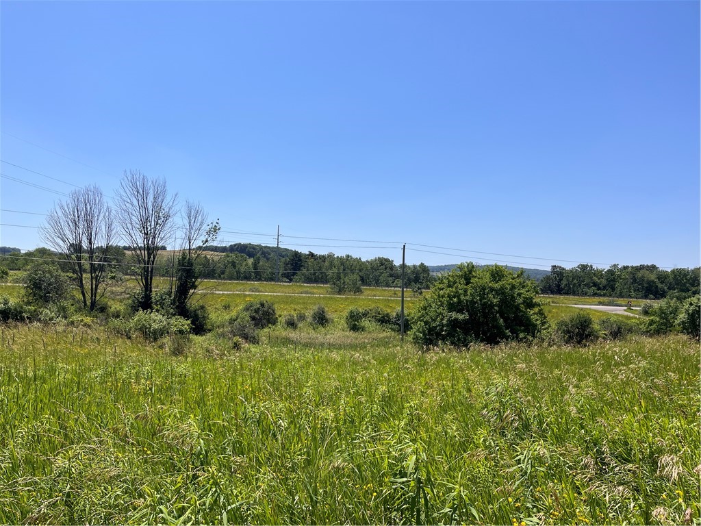 0 Yocum Road Wayland, NY 14572 - Photo 4 of 7