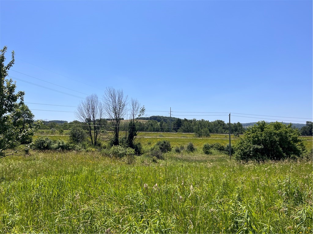 0 Yocum Road Wayland, NY 14572 - Photo 5 of 7