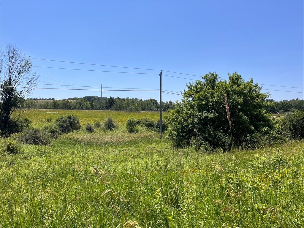 0 Yocum Road Wayland, NY 14572 - Photo 7 of 7