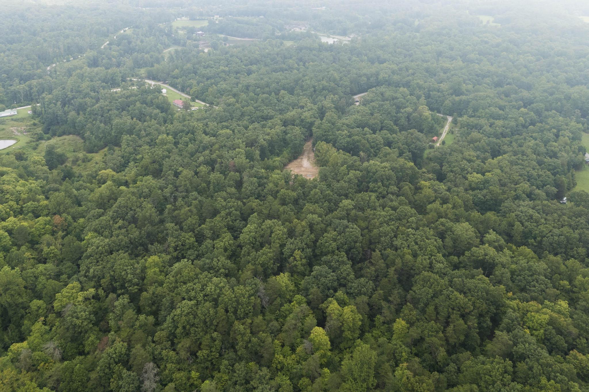 240 Nelson Branch Road Clay City, KY 40312 - Photo 7 of 23 DJI_20260818230813_0032_D