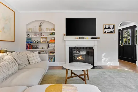 a living room filled with furniture and a potted plant