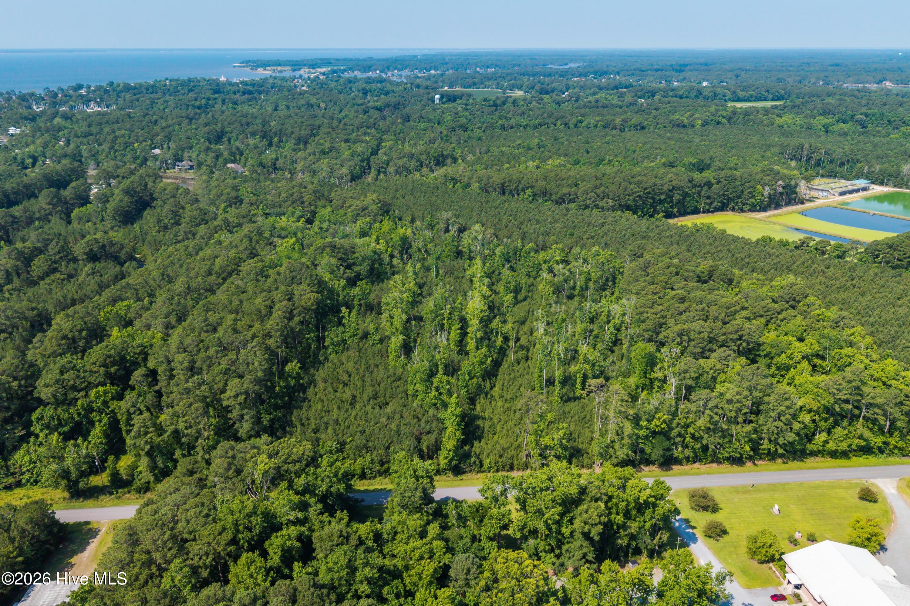 1 White Farm Road Oriental, NC 28571 - Photo 10 of 11