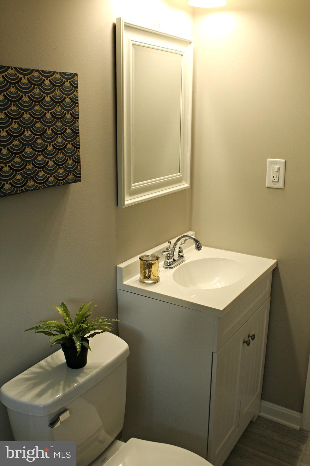 238 Highfalcon Road Reisterstown, MD 21136 - Photo 12 of 21 New bathroom!