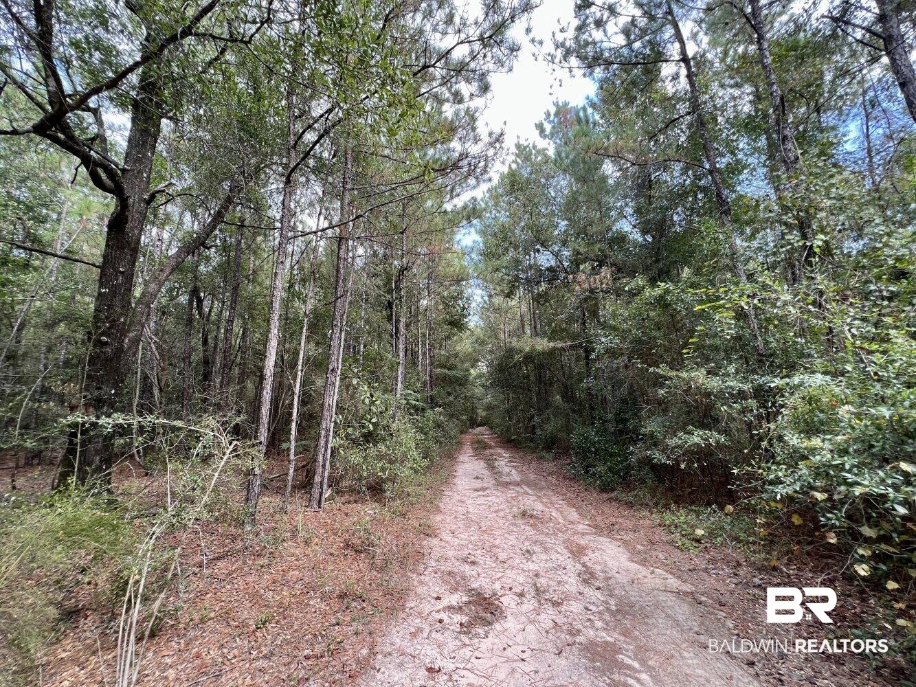0 Bear Fork Road Mobile, AL 36618 - Photo 45 of 50