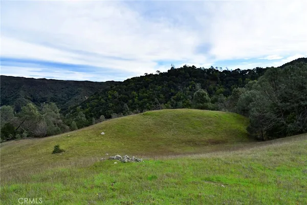 a view of a grassy field with mountains in the background
