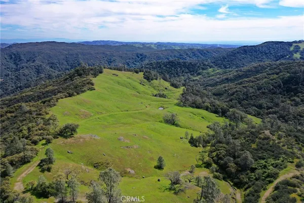 a view of a lush green hillside and an ocean