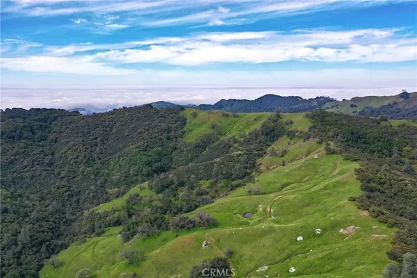 a view of a lush green forest with mountains in the background