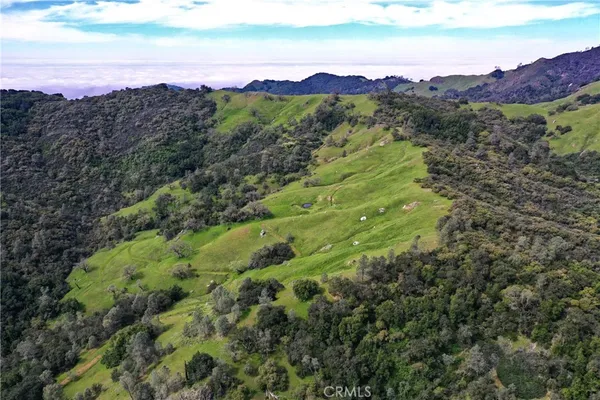 a view of a lush green hillside and a mountain view