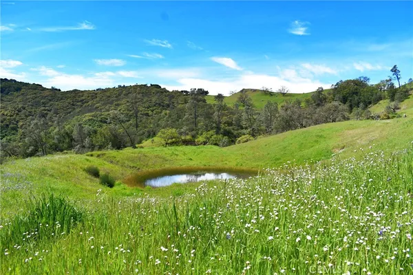 a view of a lush green space with sea