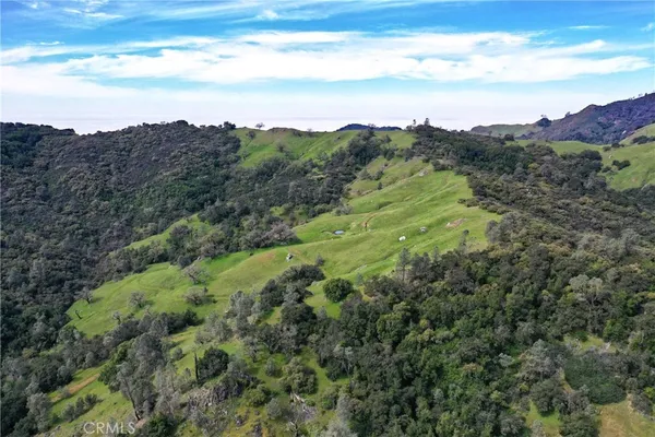 a view of a lush green forest with top of houses