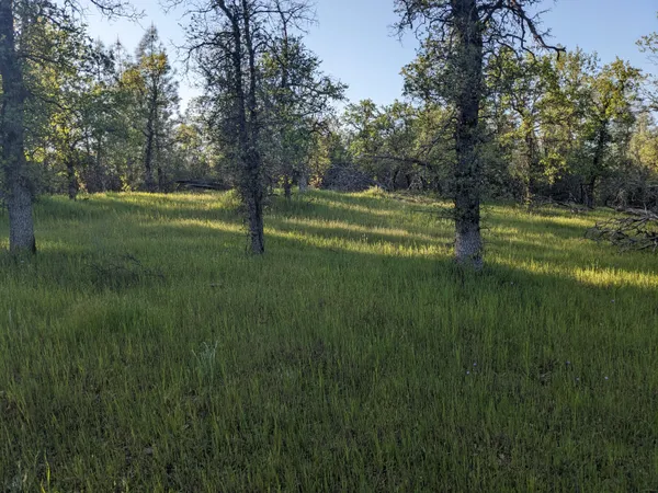 $79,500 | Lot 8 Neal Lane, Redding, CA 96003