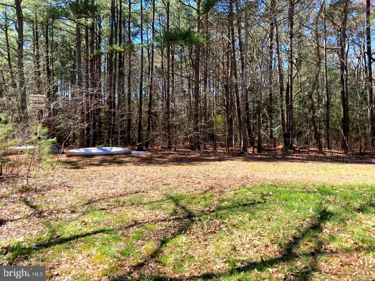 9416 Croppers Island Road Newark, MD 21841 - Photo 11 of 15 Gallery Image 11