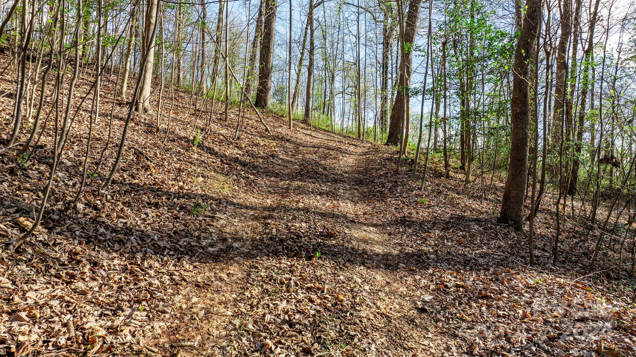 0 Somers Road North Wilkesboro, NC 28659 - Photo 11 of 24