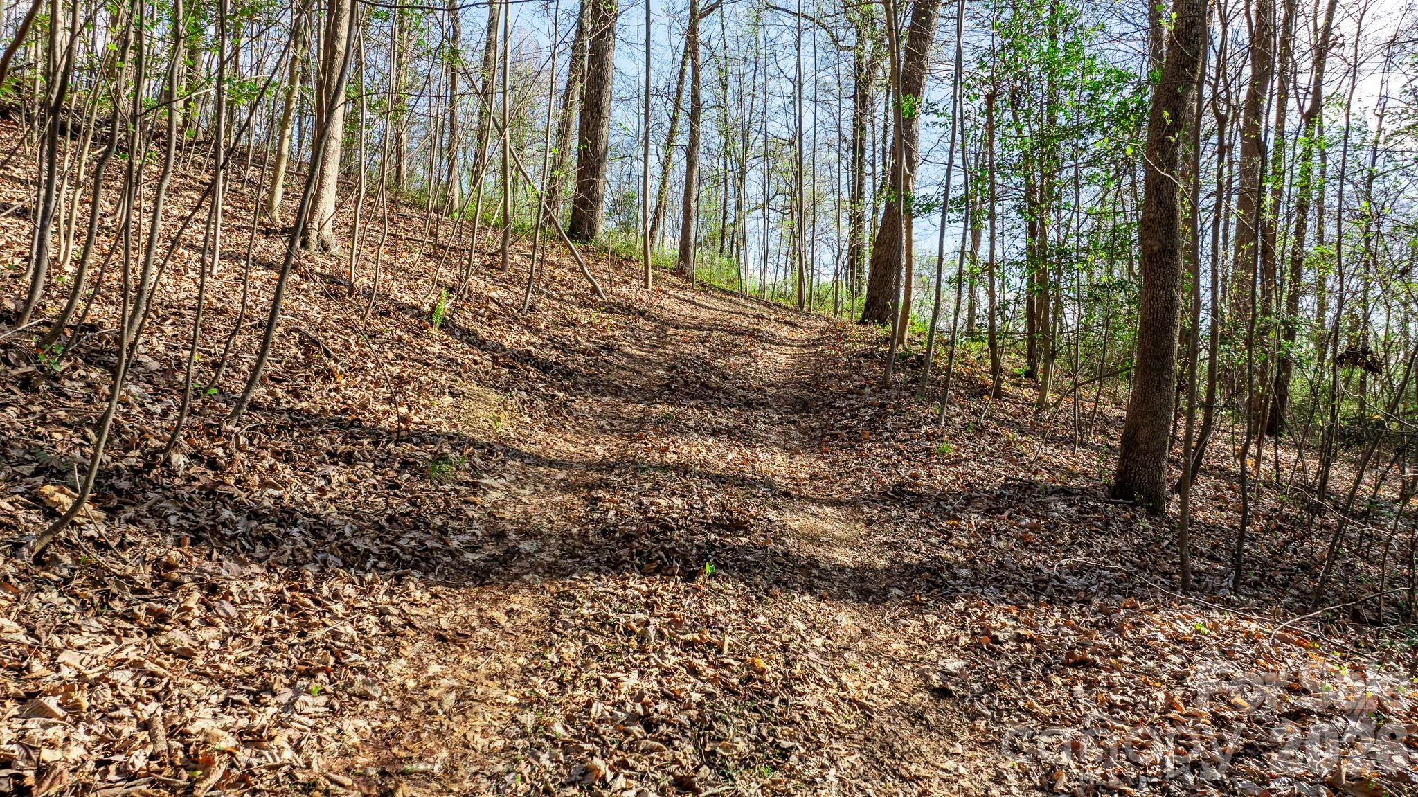 0 Somers Road North Wilkesboro, NC 28659 - Photo 11 of 24 a view of outdoor space and garden