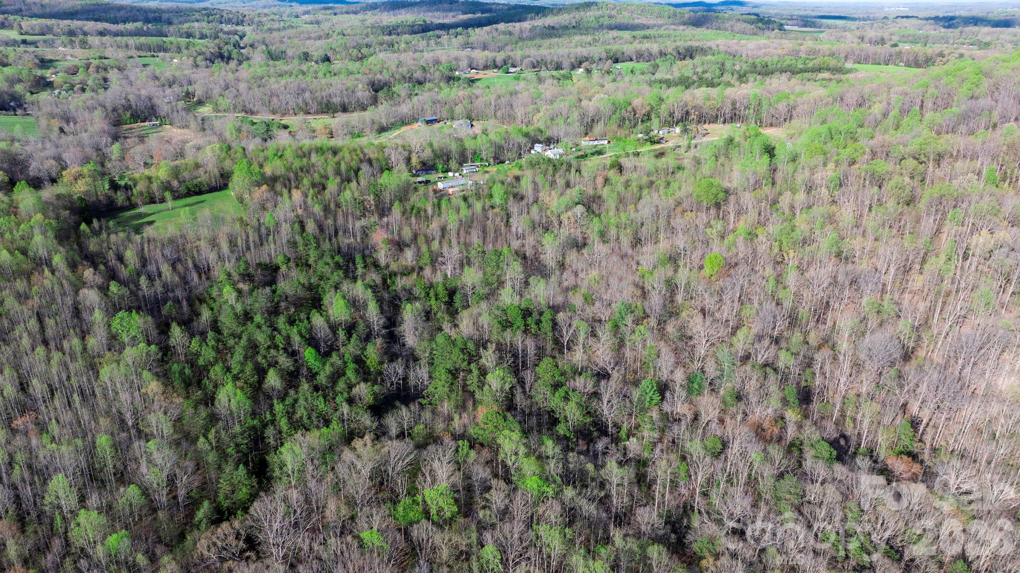 0 Somers Road North Wilkesboro, NC 28659 - Photo 16 of 24 a view of a lush green field