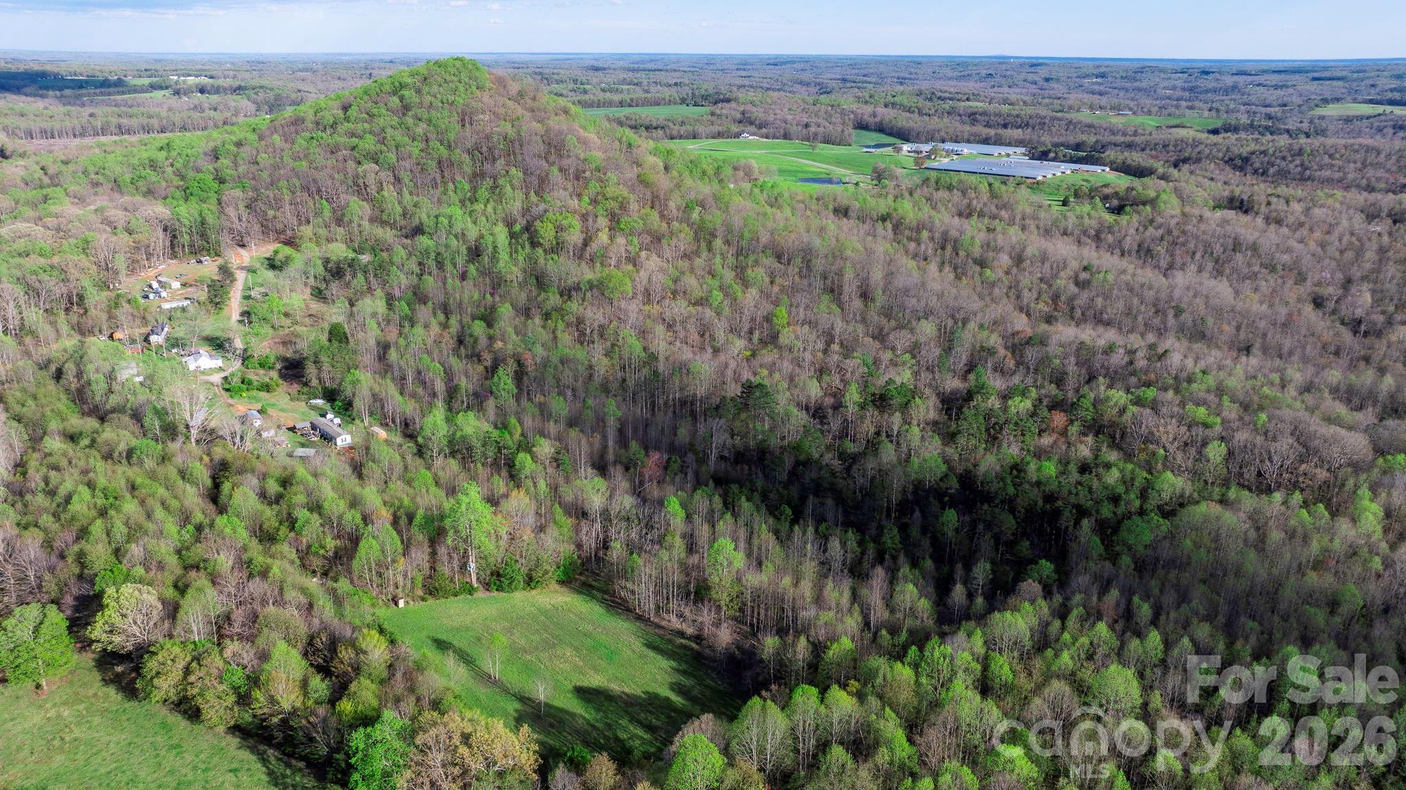 0 Somers Road North Wilkesboro, NC 28659 - Photo 18 of 24 a view of a lush green forest with trees and some plants