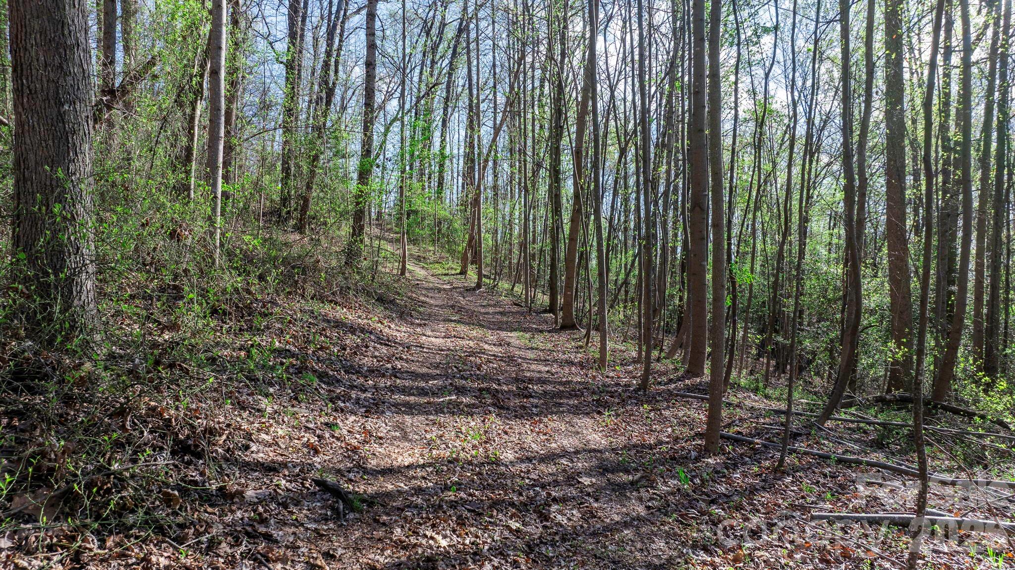 0 Somers Road North Wilkesboro, NC 28659 - Photo 2 of 24 a view of outdoor space and green space