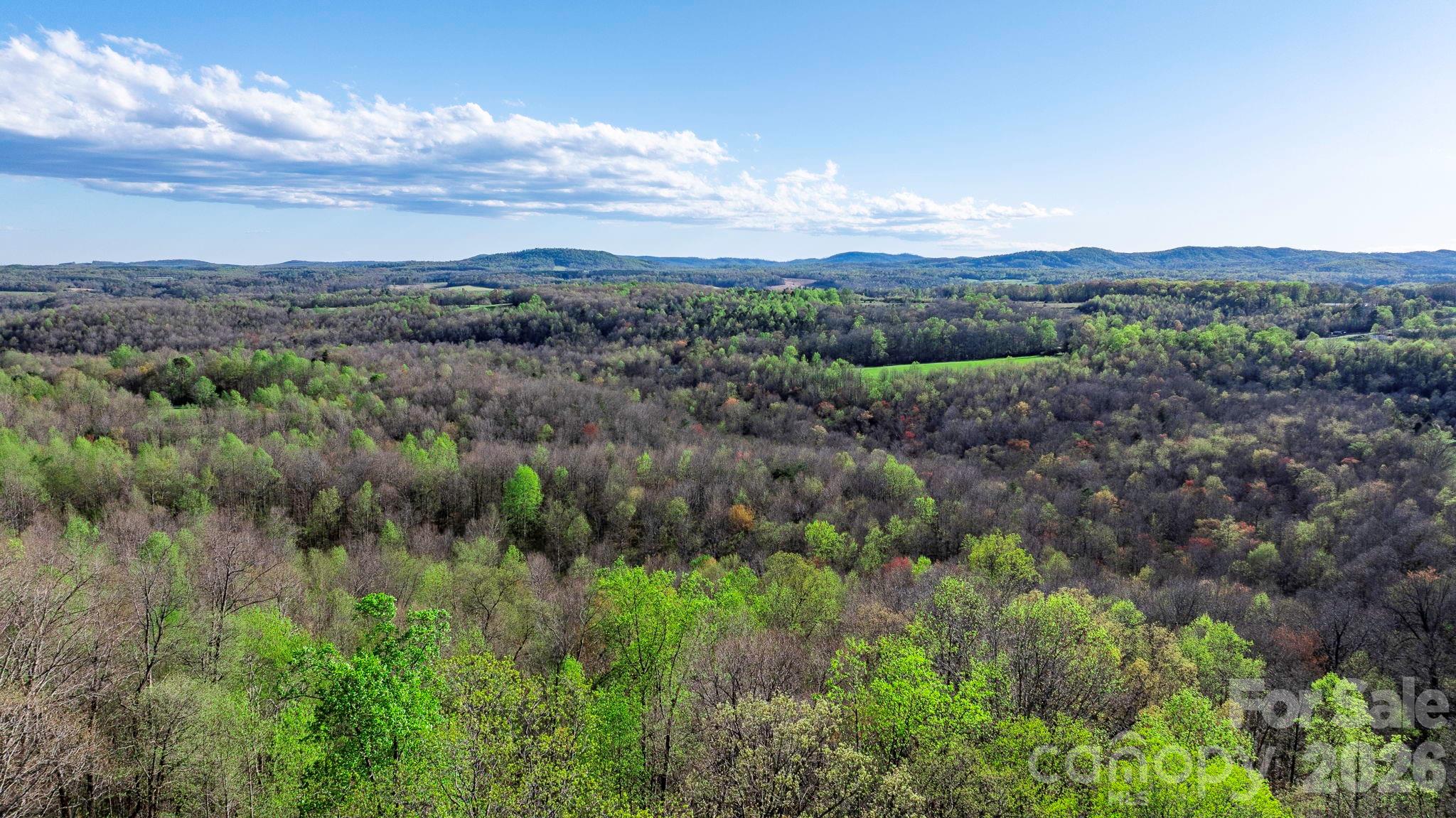 0 Somers Road North Wilkesboro, NC 28659 - Photo 21 of 24 a view of a lush green forest with lots of trees