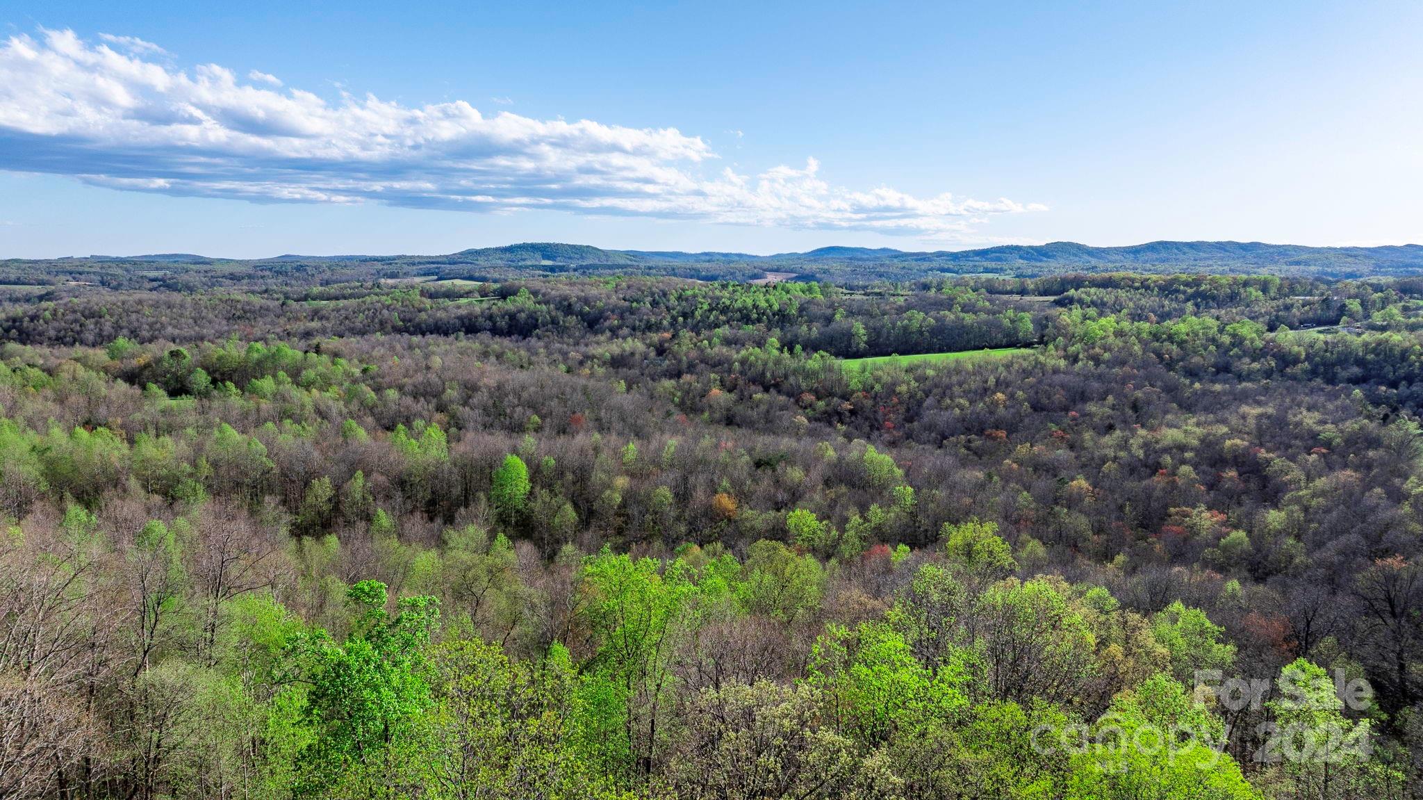 0 Somers Road North Wilkesboro, NC 28659 - Photo 21 of 24
