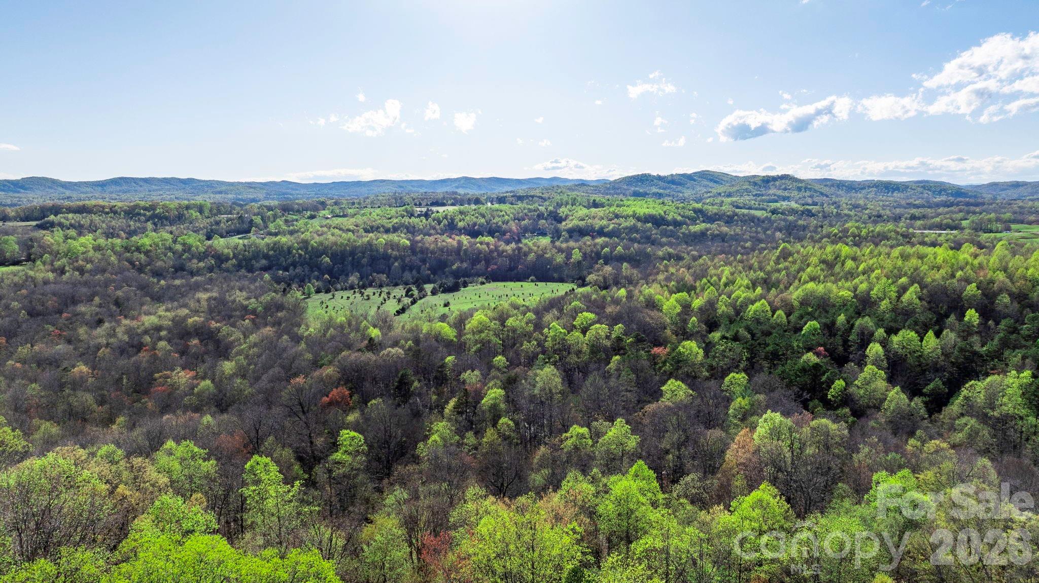 0 Somers Road North Wilkesboro, NC 28659 - Photo 22 of 24 a view of a lush green forest with lots of trees