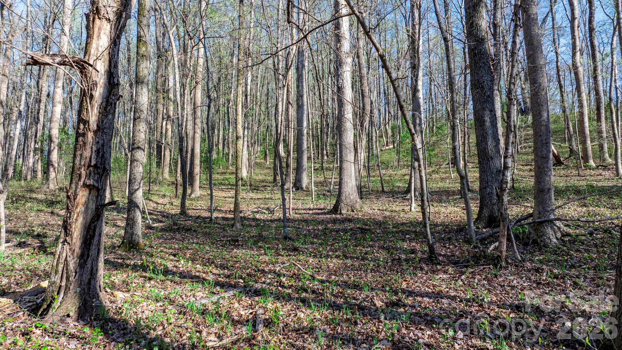0 Somers Road North Wilkesboro, NC 28659 - Photo 24 of 24 a backyard of a house with lots of green space