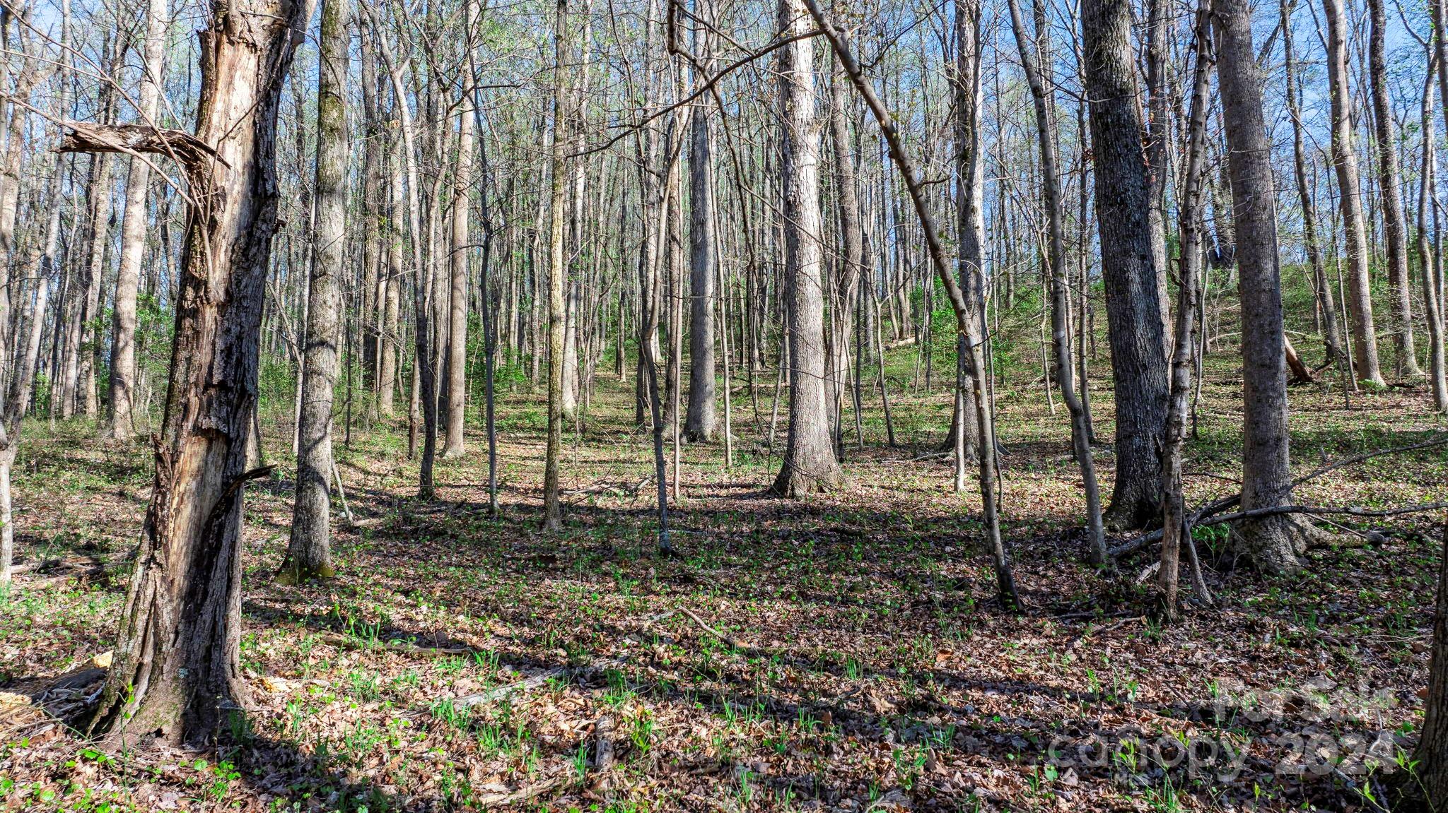 0 Somers Road North Wilkesboro, NC 28659 - Photo 24 of 24