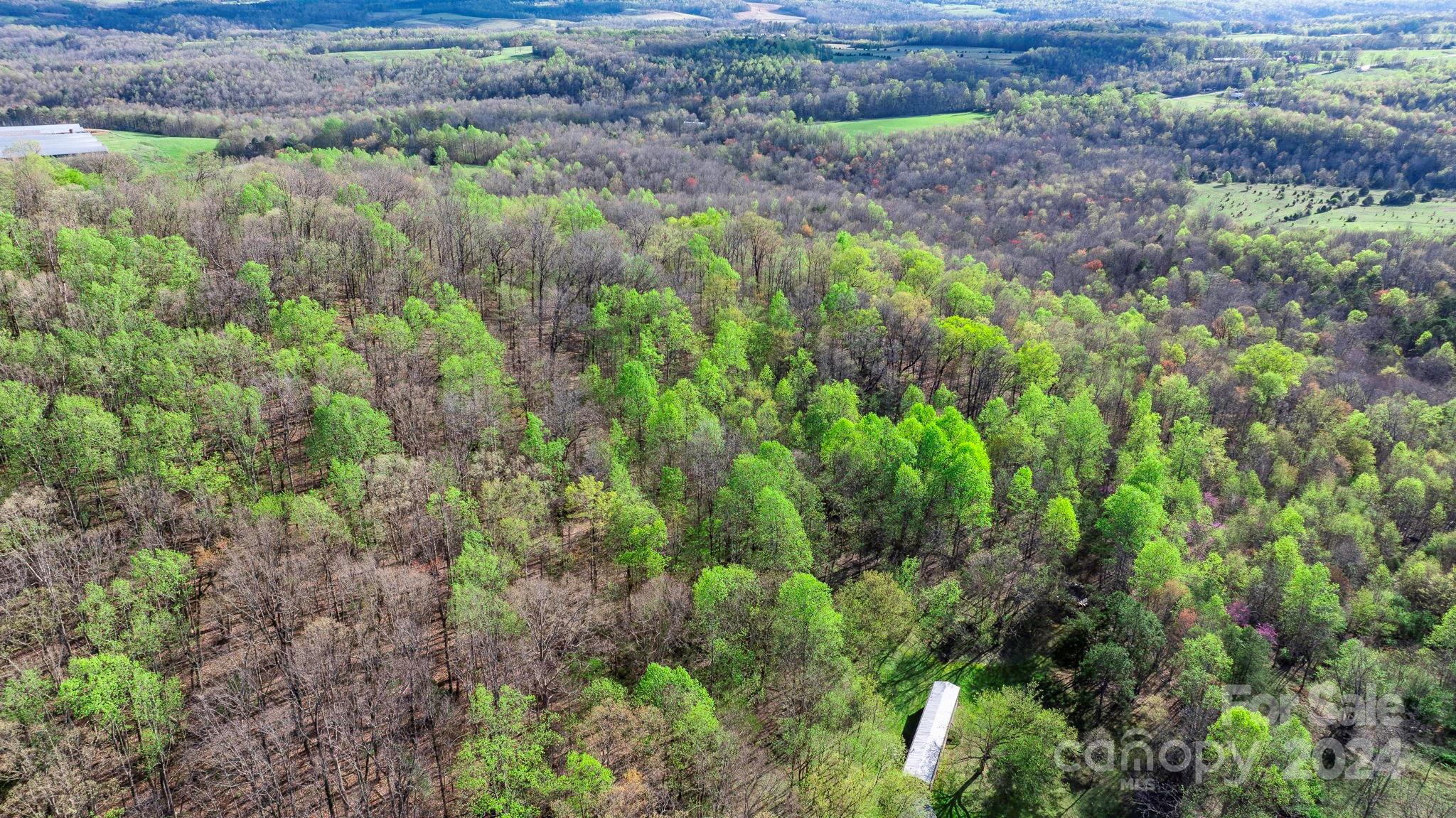 0 Somers Road North Wilkesboro, NC 28659 - Photo 4 of 24