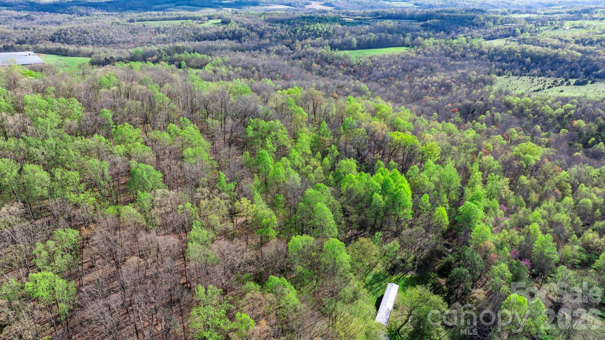 0 Somers Road North Wilkesboro, NC 28659 - Photo 5 of 24 a view of a lush green forest