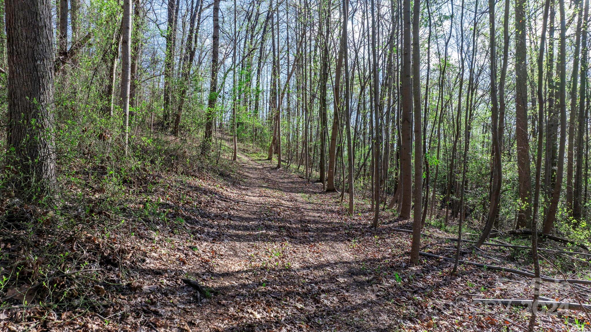 0 Somers Road North Wilkesboro, NC 28659 - Photo 5 of 24