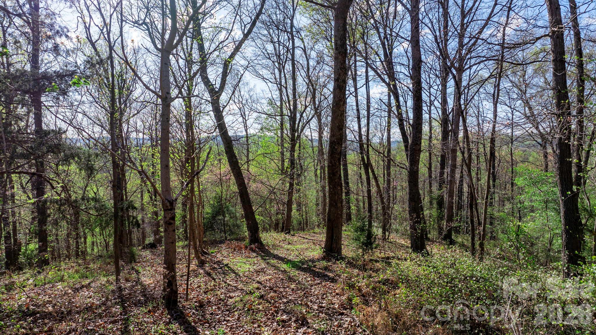 0 Somers Road North Wilkesboro, NC 28659 - Photo 6 of 24 a view of a backyard
