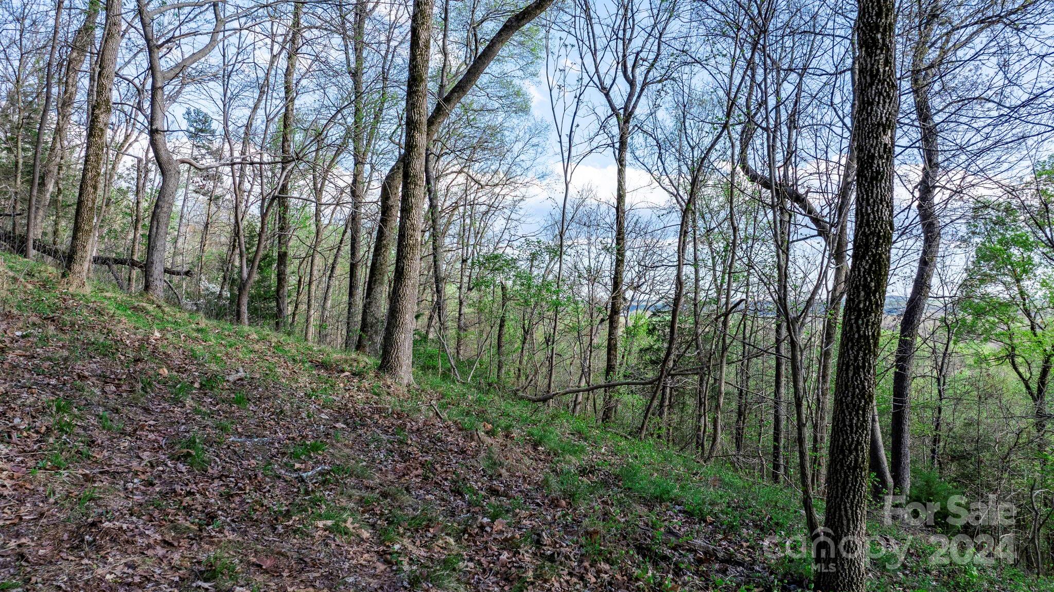 0 Somers Road North Wilkesboro, NC 28659 - Photo 7 of 24