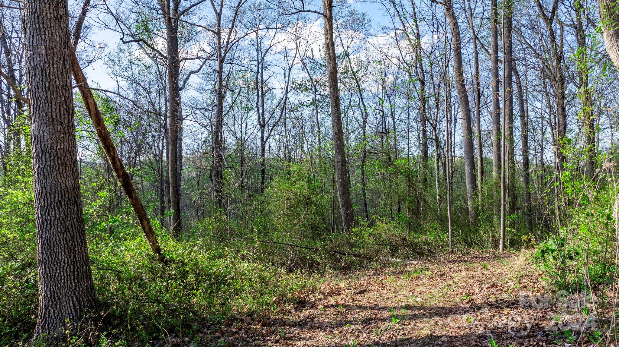 0 Somers Road North Wilkesboro, NC 28659 - Photo 8 of 24