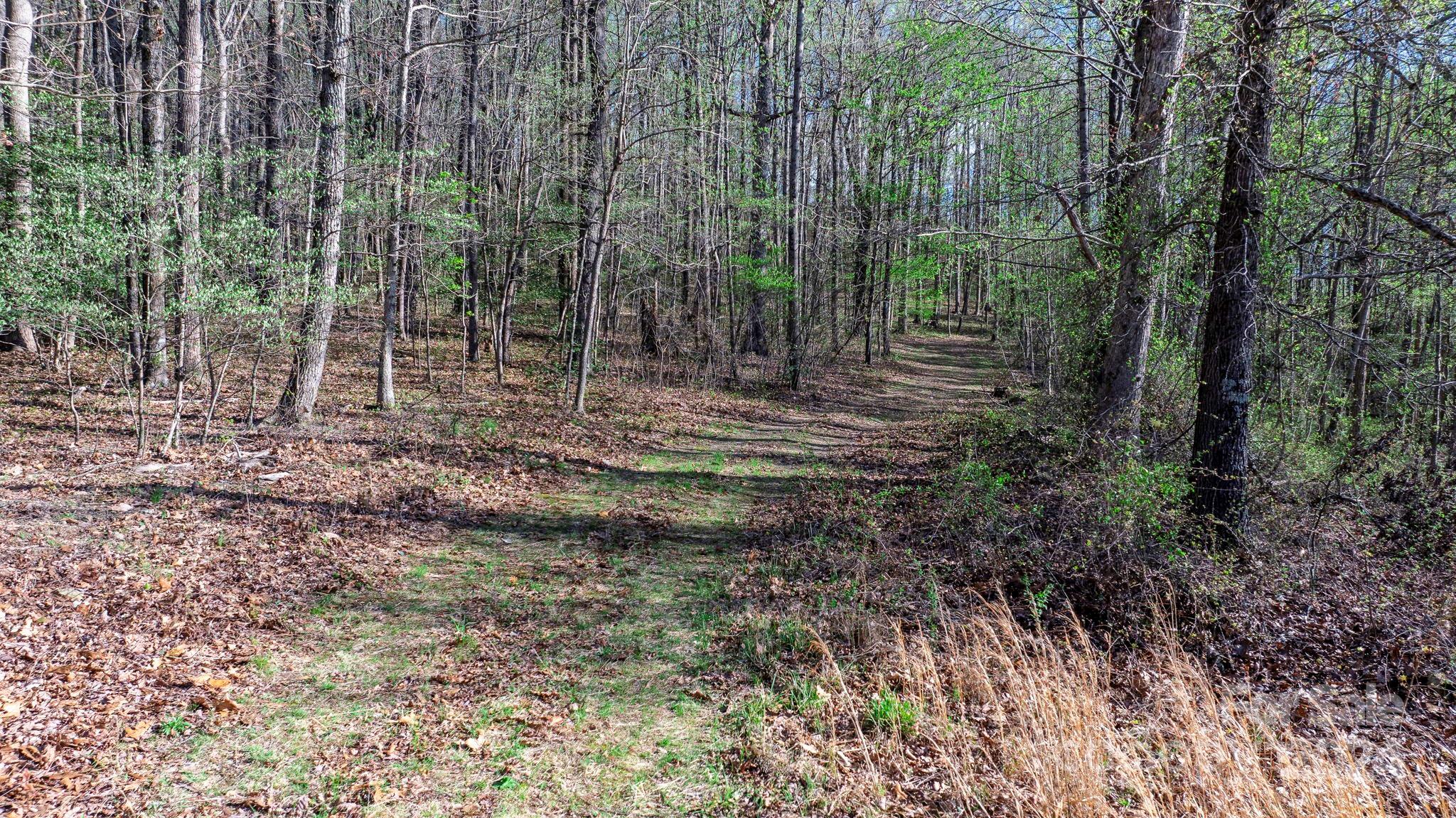 0 Somers Road North Wilkesboro, NC 28659 - Photo 9 of 24