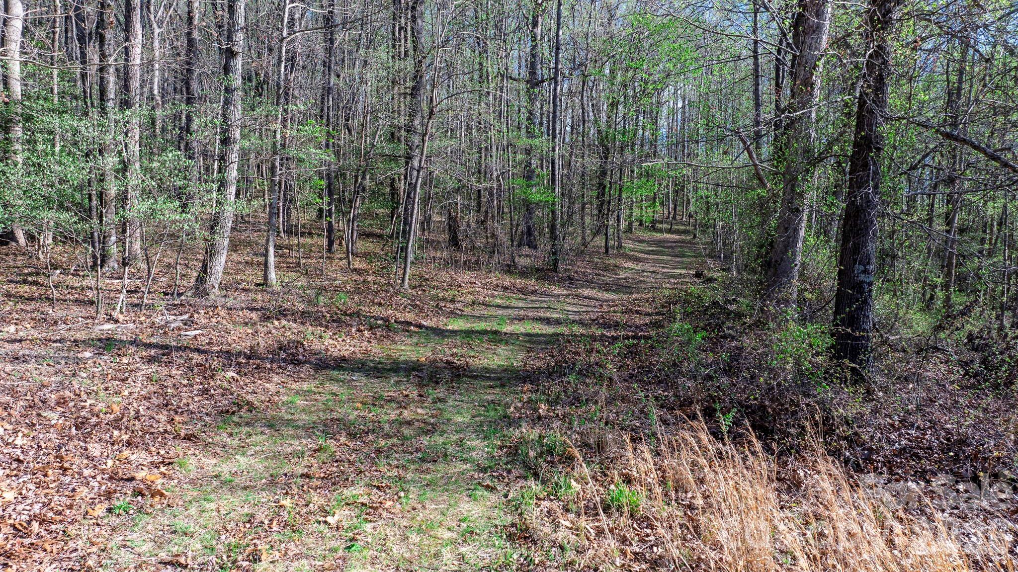 0 Somers Road North Wilkesboro, NC 28659 - Photo 9 of 24 a view of outdoor space and trees