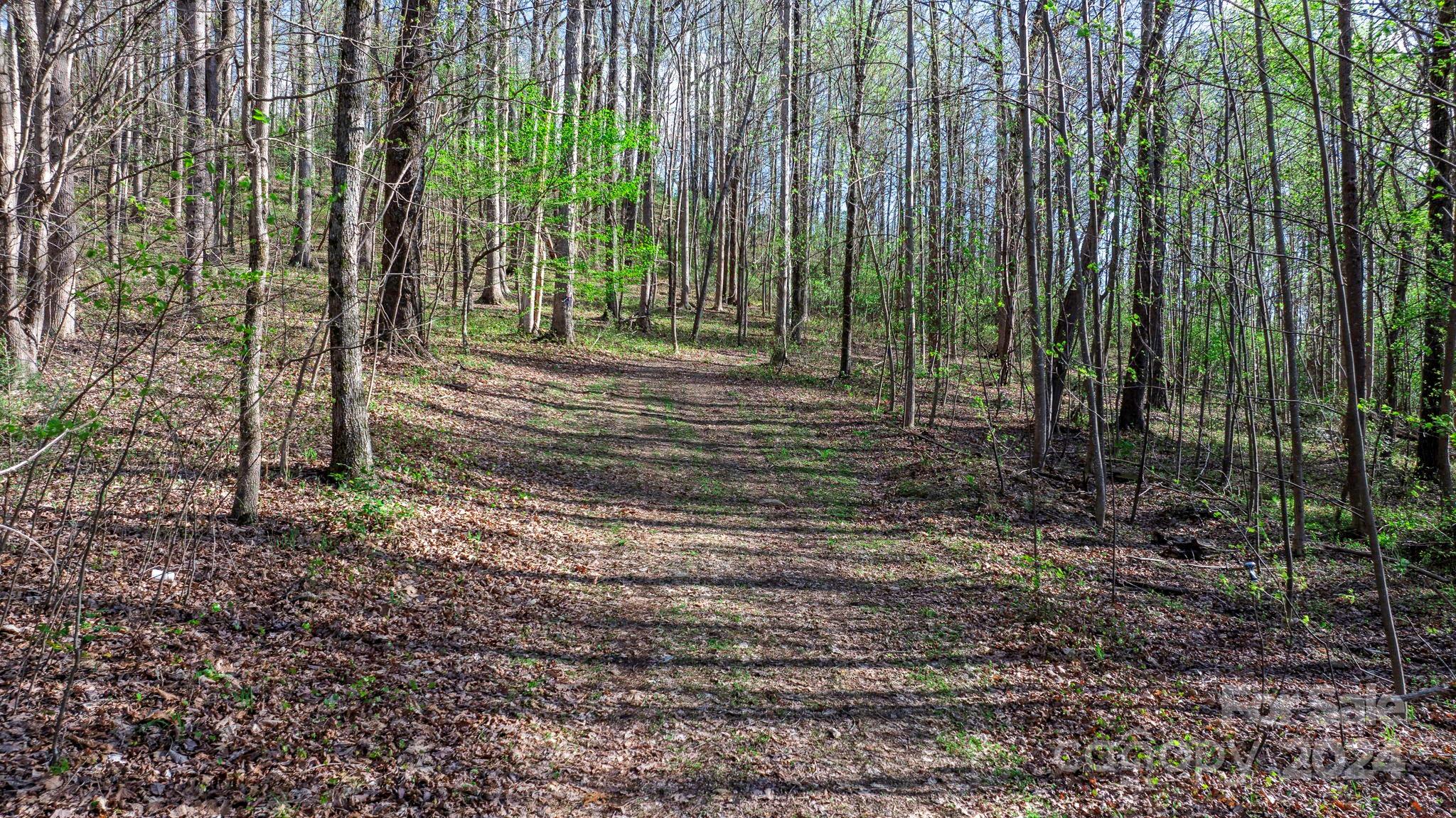 0 Somers Road North Wilkesboro, NC 28659 - Photo 10 of 24