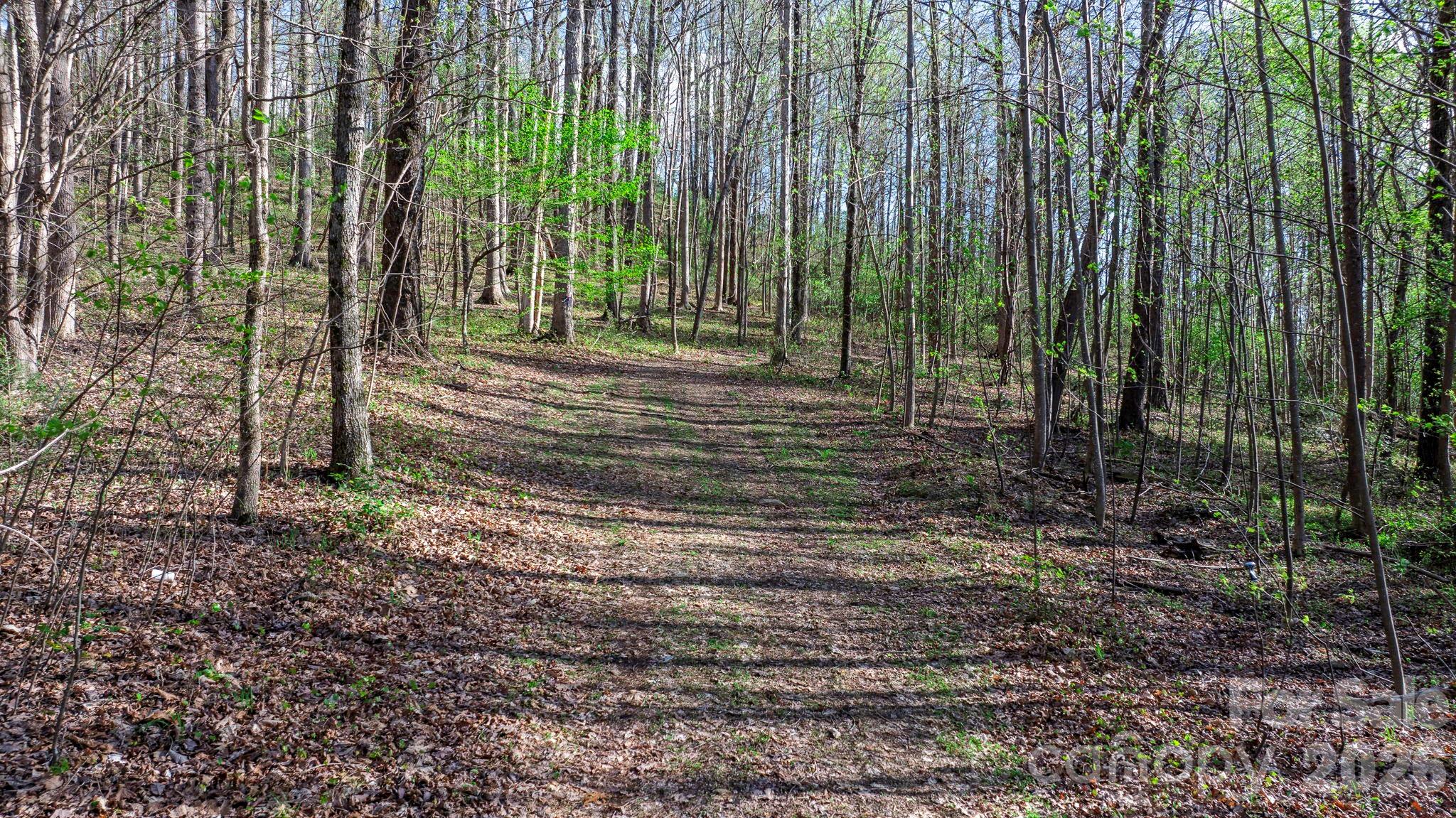 0 Somers Road North Wilkesboro, NC 28659 - Photo 10 of 24 a view of a yard with a trees