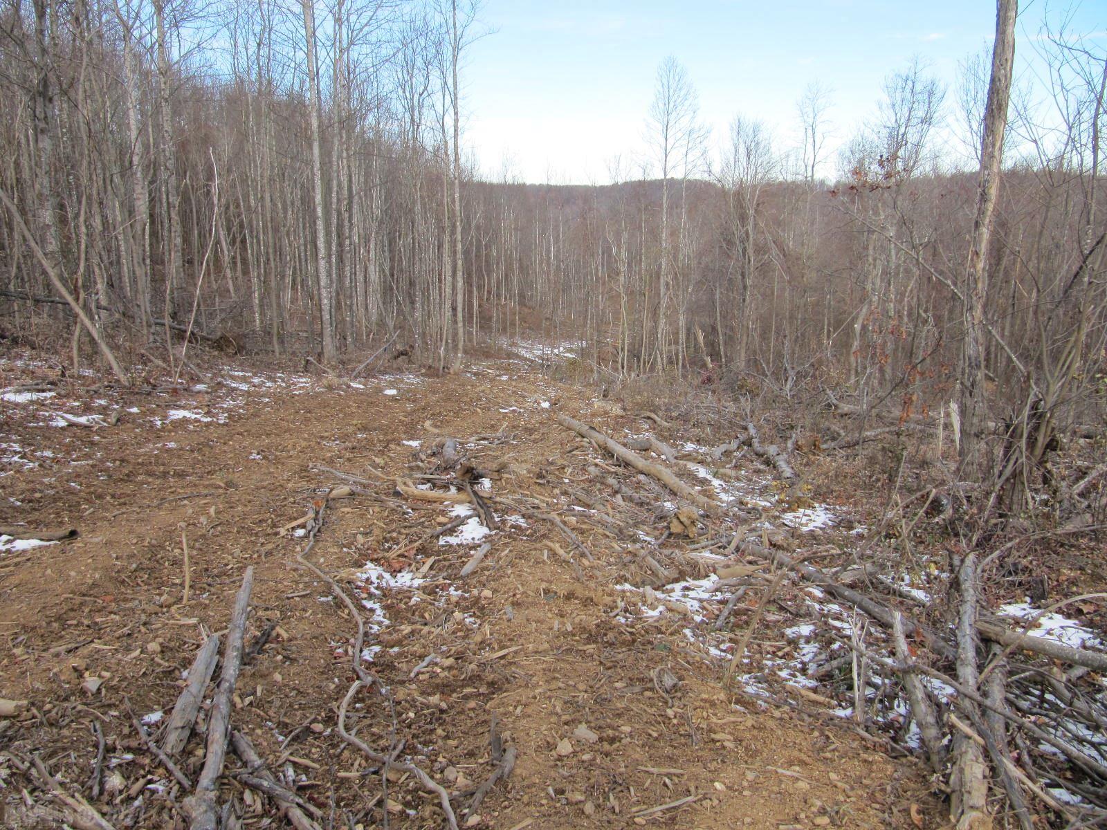 Tbd Runnett Bag Road Floyd, VA 24091 - Photo 3 of 15 Gallery Image 3
