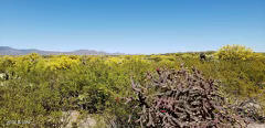 21817 South Escrito Road Tucson, AZ 85739 - Photo 5 of 12 IMG_5333
