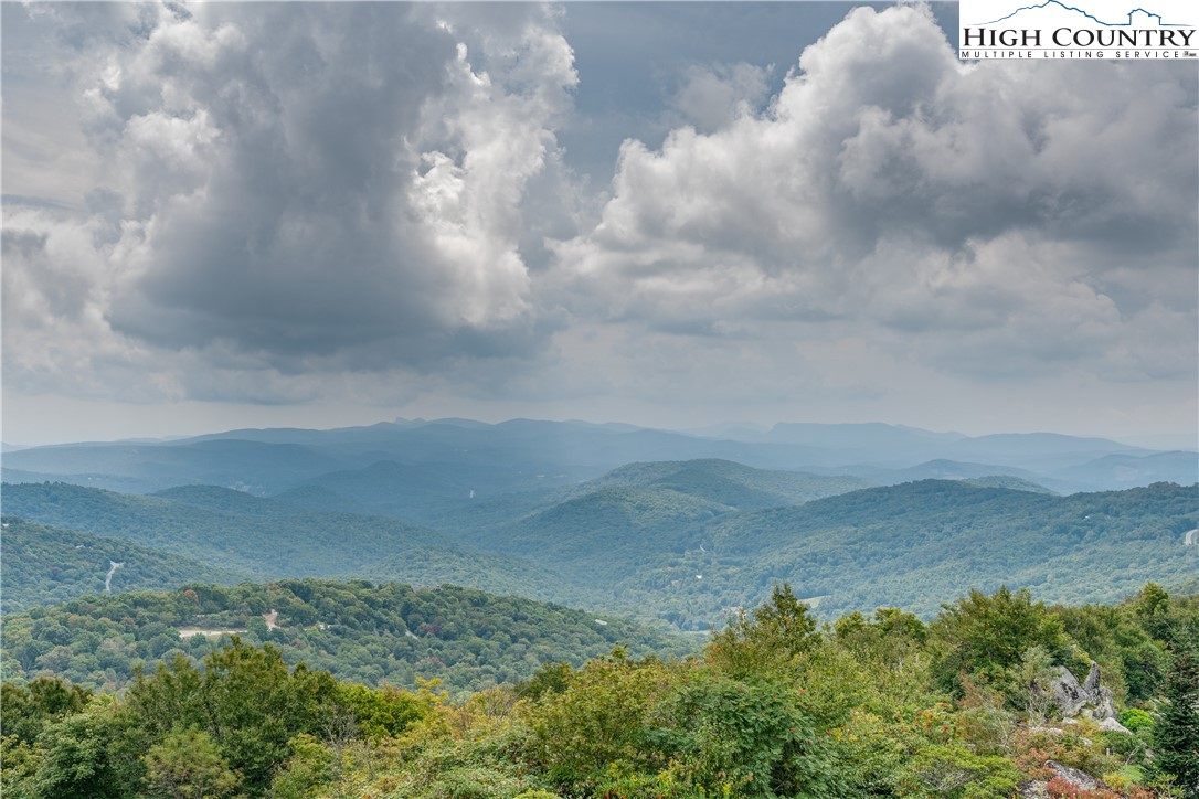 a view of a dry yard