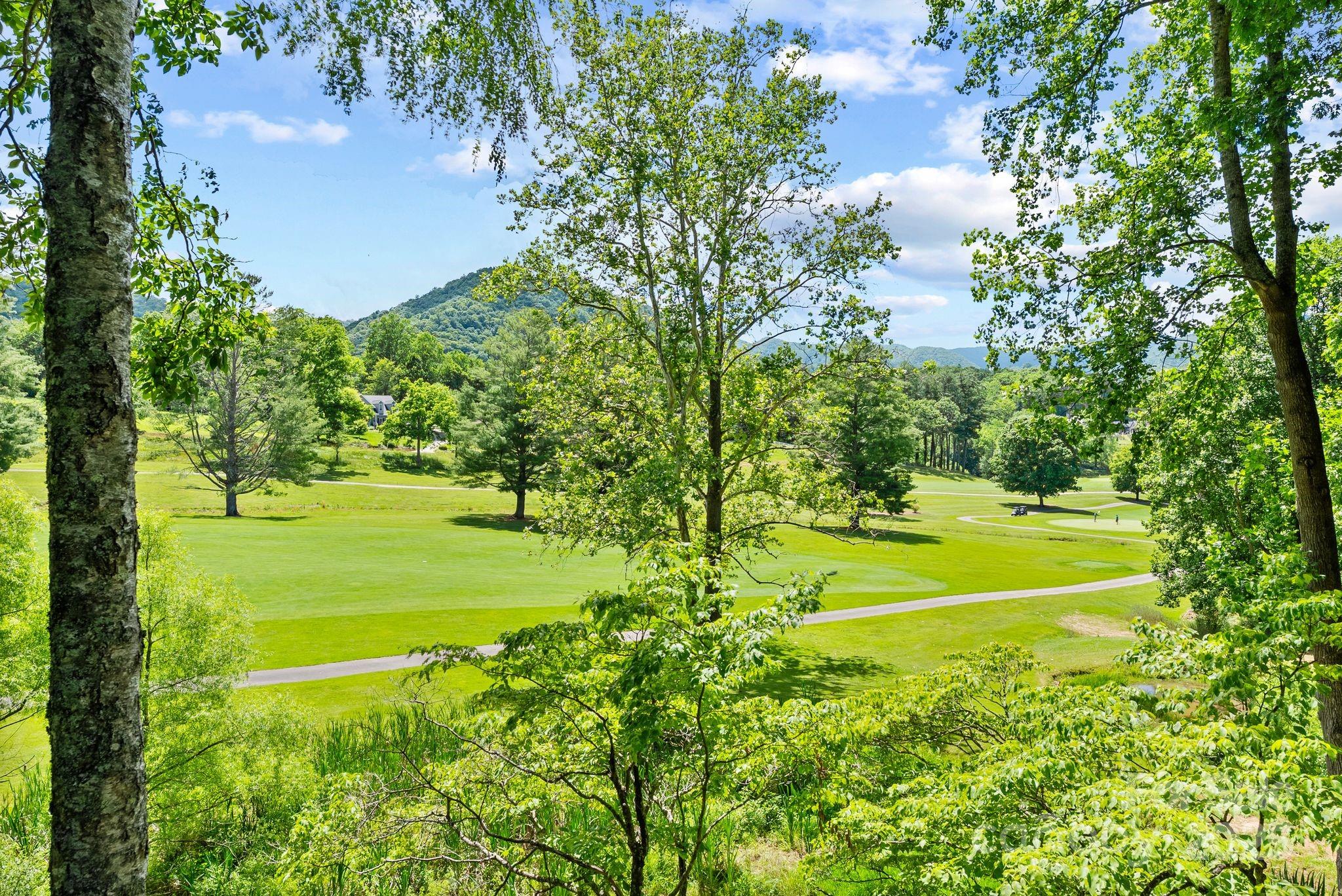 386 Country Club Drive Canton, NC 28716 - Photo 34 of 47 a view of a yard with a house