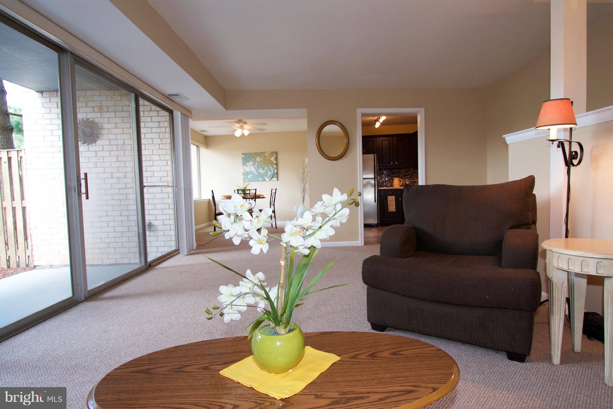 2507 Baltimore Road, Unit 1 Rockville, MD 20853 - Photo 12 of 30 a living room with furniture flowerpot and a window