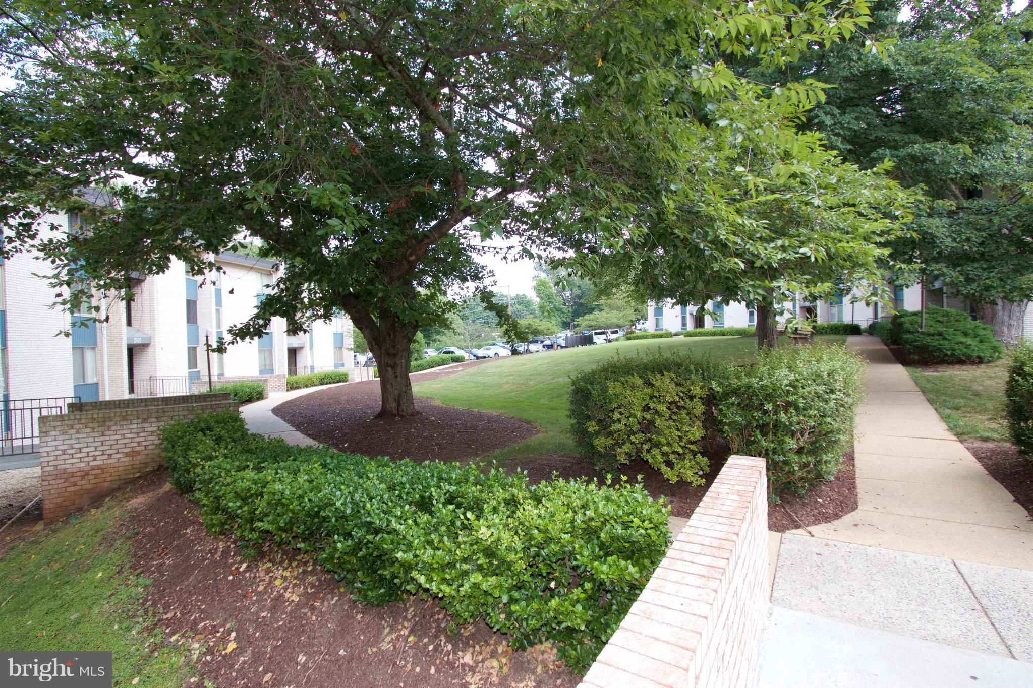 2507 Baltimore Road, Unit 1 Rockville, MD 20853 - Photo 24 of 30 a view of a garden with plants