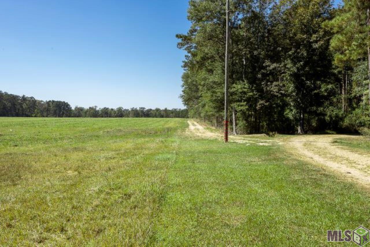 V5 Jim Price Road Clinton, LA 70722 - Photo 4 of 6 Gallery Image 4