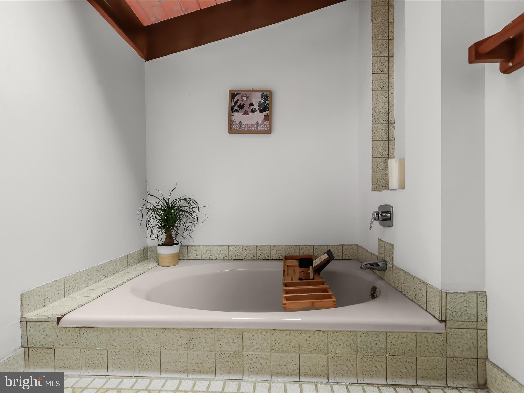 1809 Gamewell Road Silver Spring, MD 20905 - Photo 32 of 71 Soaking tub under skylight