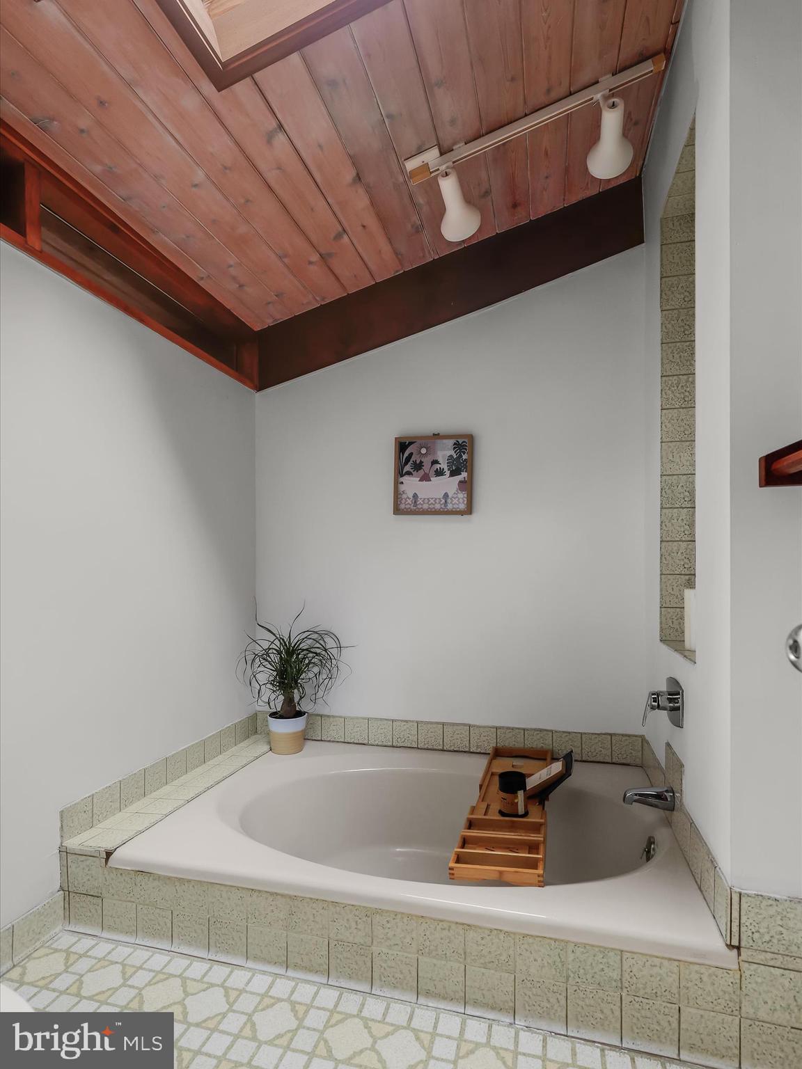 1809 Gamewell Road Silver Spring, MD 20905 - Photo 33 of 71 Primary soaking tub