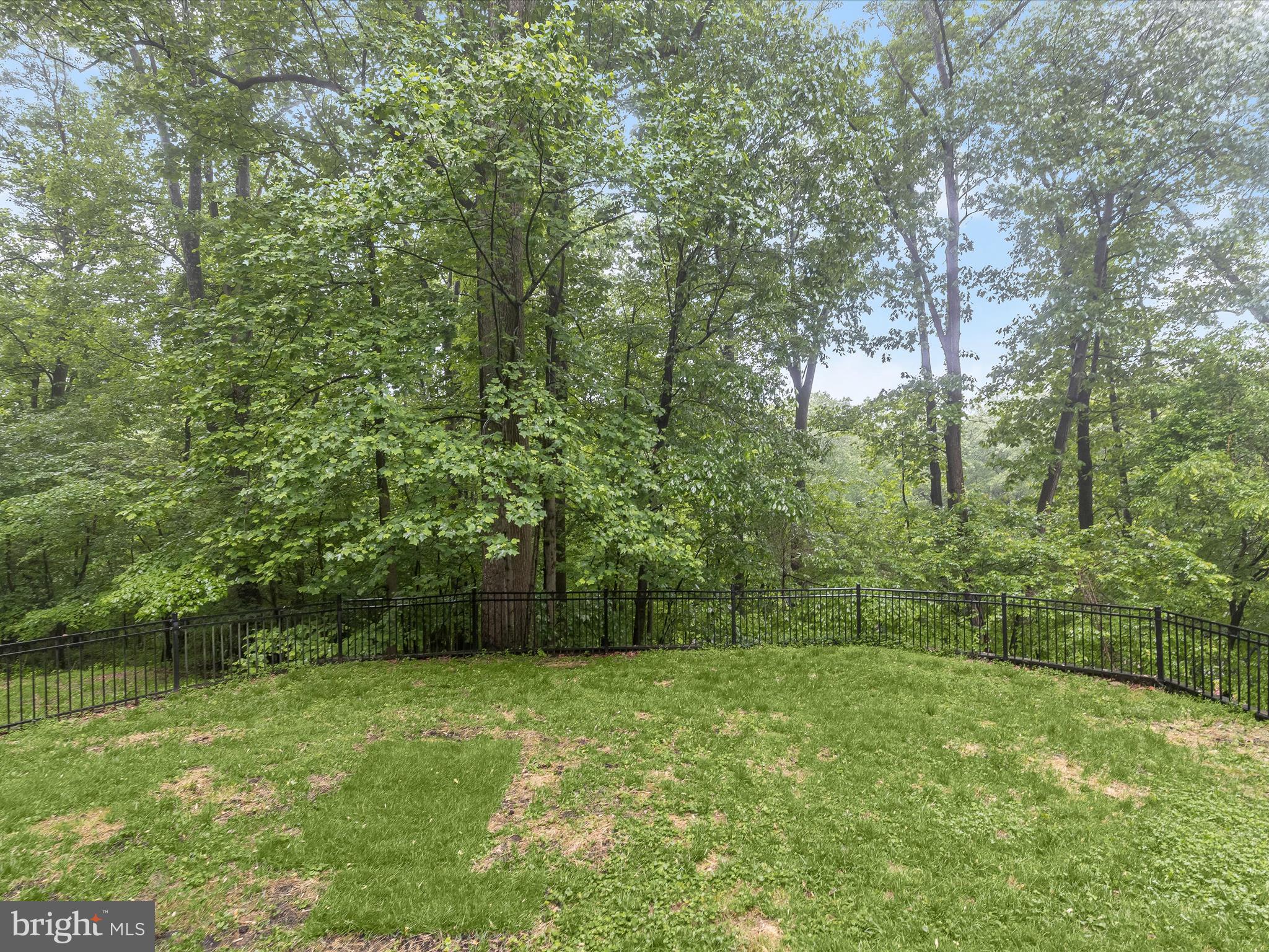 1809 Gamewell Road Silver Spring, MD 20905 - Photo 50 of 71 Picturesque view