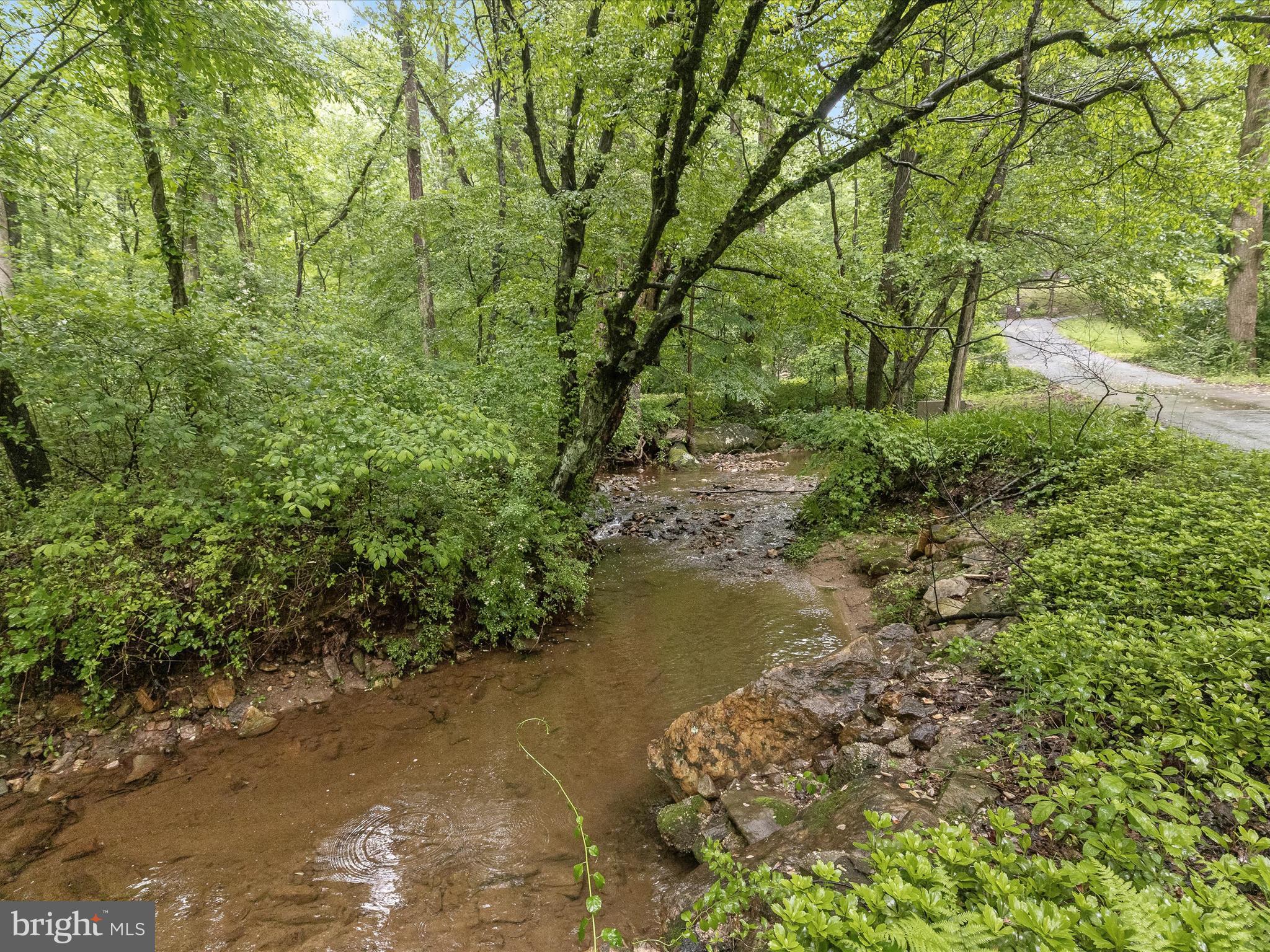 1809 Gamewell Road Silver Spring, MD 20905 - Photo 61 of 71 Nearby creek