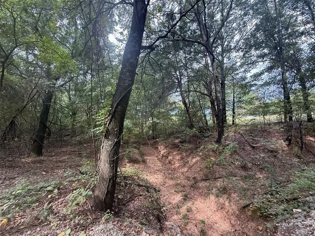 a view of empty field with trees
