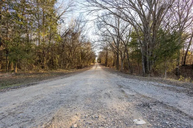 a view of dirt yard with a tree